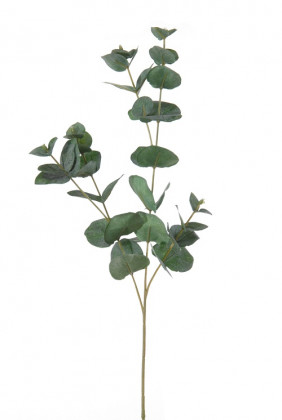 EUCALIPTUS 75CM VERDE