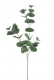 EUCALIPTUS 75CM VERDE