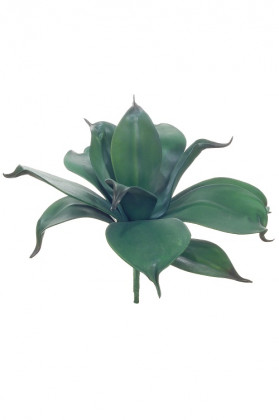 ECHEVERIA 26CM VERDE