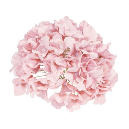 HORTENSIA 18Ø ROSA