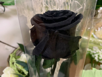 ROSA PRESERVADA ATHENTIC BLUE 25CM.