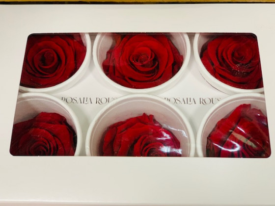 ROSA BOX 6UNI PRESERVADA ROJO.