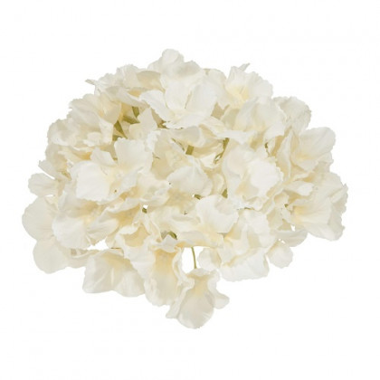 HORTENSIA 18Ø CREMA