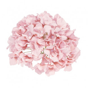HORTENSIA 18Ø ROSA