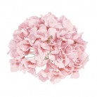 HORTENSIA 18Ø ROSA