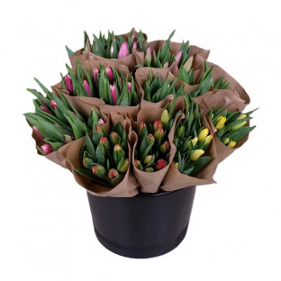 BOUQUET TULIPAN MIX X10TLLS