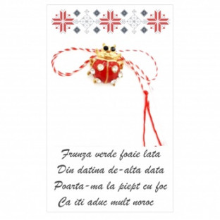 DETALLE MARZO BROCHE MARIQUITA ROJA