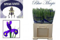 IRIS BLUE MAGIC 60CM X10 TLLS.AZUL