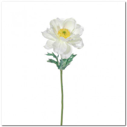 TINA ANÉMONE 35CM