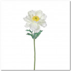 TINA ANÉMONE 35CM