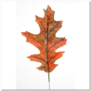 FEUILLES DE CHÊNE 20 CM