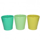 CERAMICA PHALAENOPSIS Ø13-14CM MIX VERDES