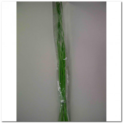 SPRIAL WILLOR X 120 VERDE.