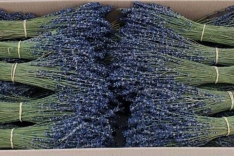 LAVANDA PRES 150 G.