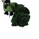 ROSA PRESERVADA VERDE SUP.