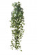 LIERRE VERT CHUTE 90CM