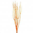 MITSUMATA 120CM NARANJA