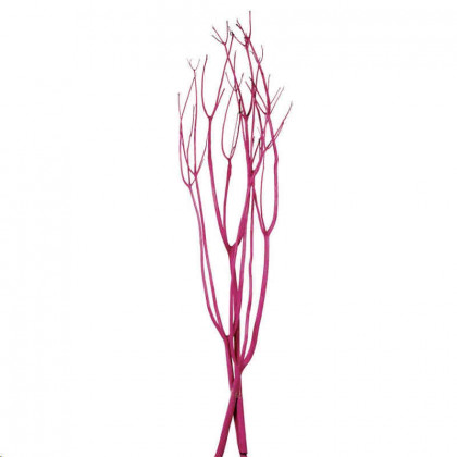 MITSUMATA 120CM FUCSIA