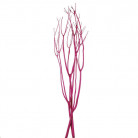 MITSUMATA 120CM FUCSIA