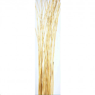 MIMBRE 180CM NATURAL