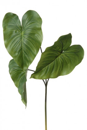 ANTHURIUM FEUILLE X 3