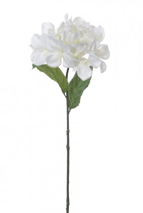 HYDRANGEA 56CM BLANC