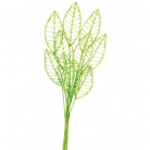 RATTAN LEAF 40X11X4 VERDE