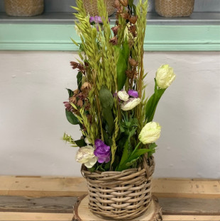 CENTRO ARTIFICIAL RANUNCULUS AVENA