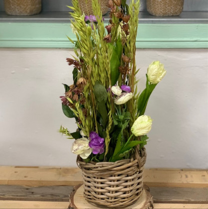 CENTRO ARTIFICIAL RANUNCULUS AVENA