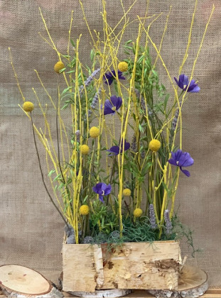 CENTRO CERAMICA RAINBOW 14