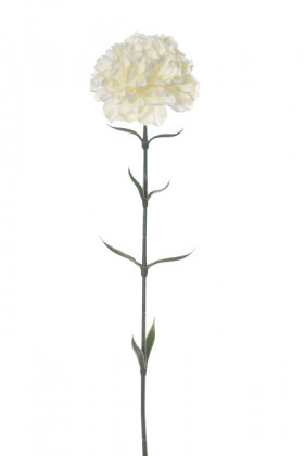 OEUILLET CLAVEL 67 CM CREME