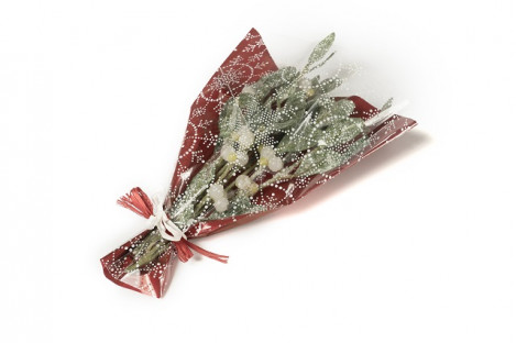 BOLSA MUERDAGO ESTAMPADO ROJO 100UNI.