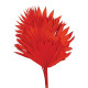 PALM SUN ROJO