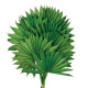 PALM SUN VERDE