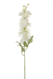 DELPHINIUM 67CM CREME