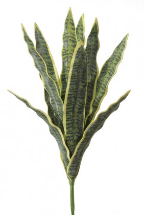 SANSEVERIA 50CM VERT/JAUNE