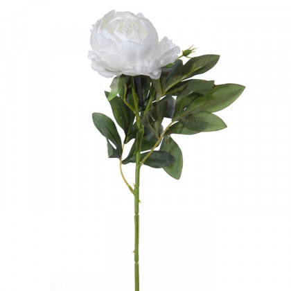 PIVOINE 60CM BLANC