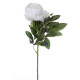 PIVOINE 60CM BLANC