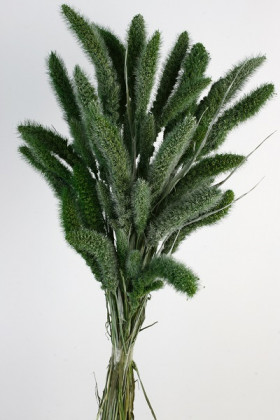 SETARIA 75CM VERDE VINTAGE