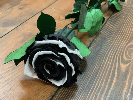 ROSA PRESERVADA DALMATA SUP.