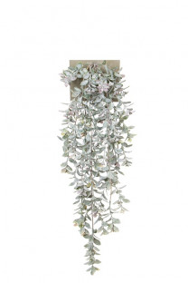 EUONYMUS CHUTE 70CM VERT/GRIS HEADER