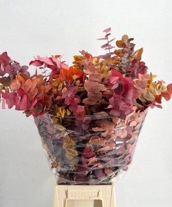 HOJA EUCALIPTUS CINEREA ESTABILIZADO PAINT AUTUMN 65 CM