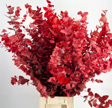 HOJA EUCALIPTUS CINEREA ESTABILIZADO PAINT ROJO 70 CM