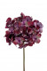 HORTENSIA 50CM BURDEOS