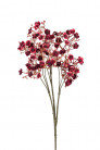 GYPSOPHILLA 70CM BURDEOS