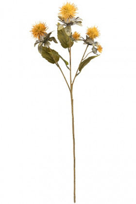 DISTEL X3 155CM GEEL