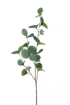 EUCALIPTUS 75CM VERT