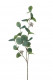 EUCALIPTUS 75CM VERT