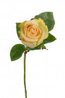 BOUTON DE ROSE 58 CM JAUNE