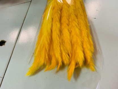 PLUMA PHRAGMITES AMARILLA